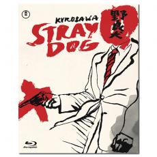 SJ-2454A 黑泽明:野良犬/Stray Dog 1949/BD25:志村乔/三船敏郎/幕后花絮/中文评论/《电影旬报》年度十佳