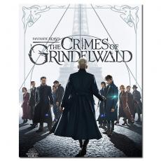 SJ-3804A/LJ-4167A 神奇动物在哪里2/神奇动物:格林德沃之罪/Fantastic Beasts:The Crimes of Grindelwald 2018/BD25:埃迪 雷德梅恩/凯瑟琳 沃特斯顿/约翰尼 德普/裘德 洛/幕后花絮/附国配