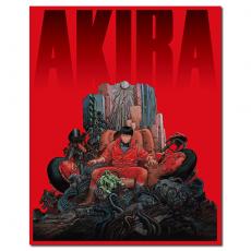 SJ-50369A 光明战士阿基拉/亚基拉/亚辉罗/アキラ/Akira 1988/BD50+BD25:大友克洋作品/幕后花絮/附粤语配音