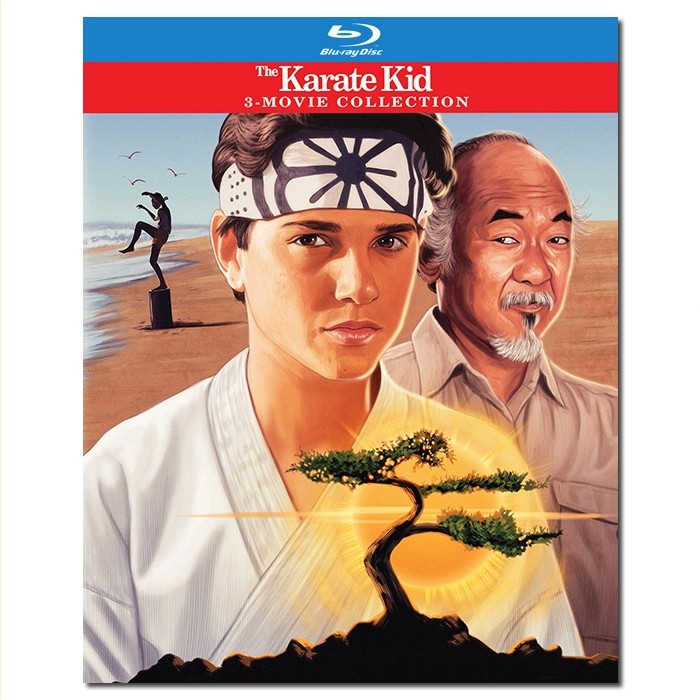 SJBD 龙威小子/The Karate Kid 1-3/The Karate Kid Collection/BD25×3:拉尔夫 马基奥/森田则之/伊丽莎白 苏/幕后花絮/附国配